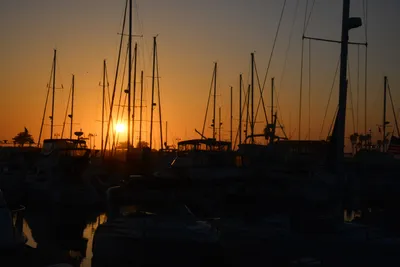 DSC_7308 (Large).JPG